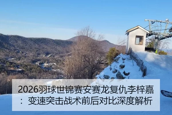 2026羽球世锦赛安赛龙复仇李梓嘉：变速突击战术前后对比深度解析